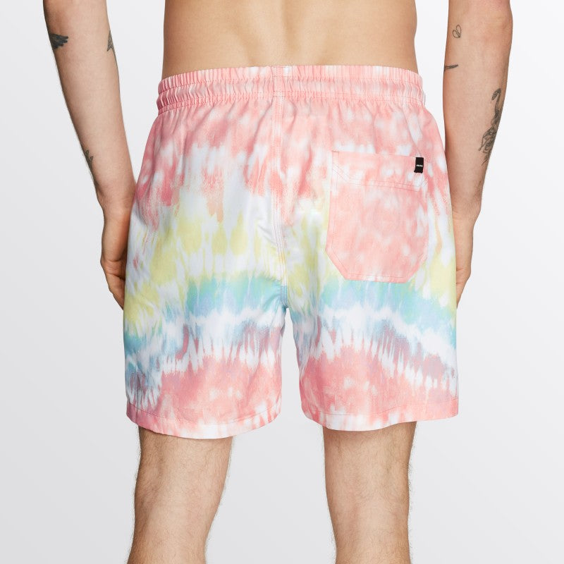 Mystic Artwork Swim Boardshort Rainbow