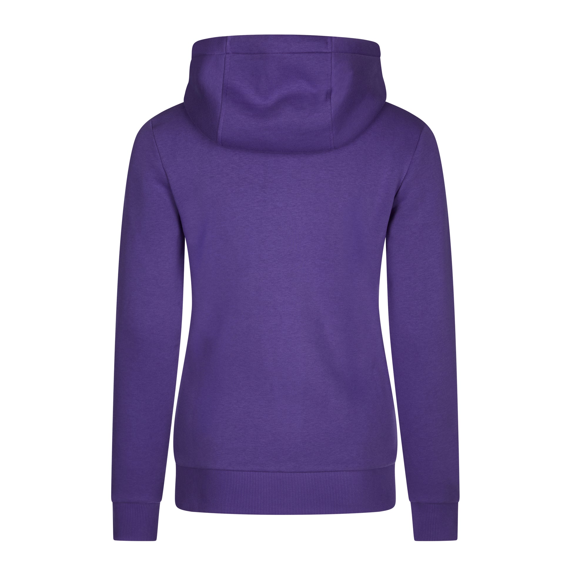 Mystic Brand Hoodie Sweat Purple