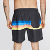 Mystic Stripe Swim Boardshort Rainbow