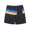 Mystic Stripe Swim Boardshort Rainbow