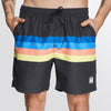 Mystic Stripe Swim Boardshort Rainbow