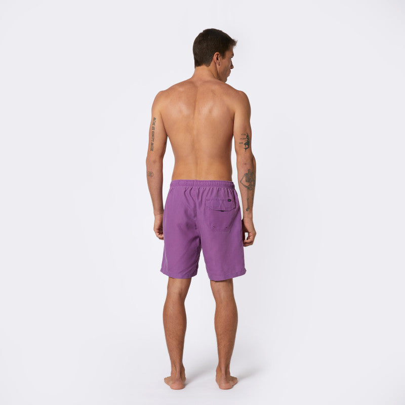 Mystic Brand Swim Boardshort Purple