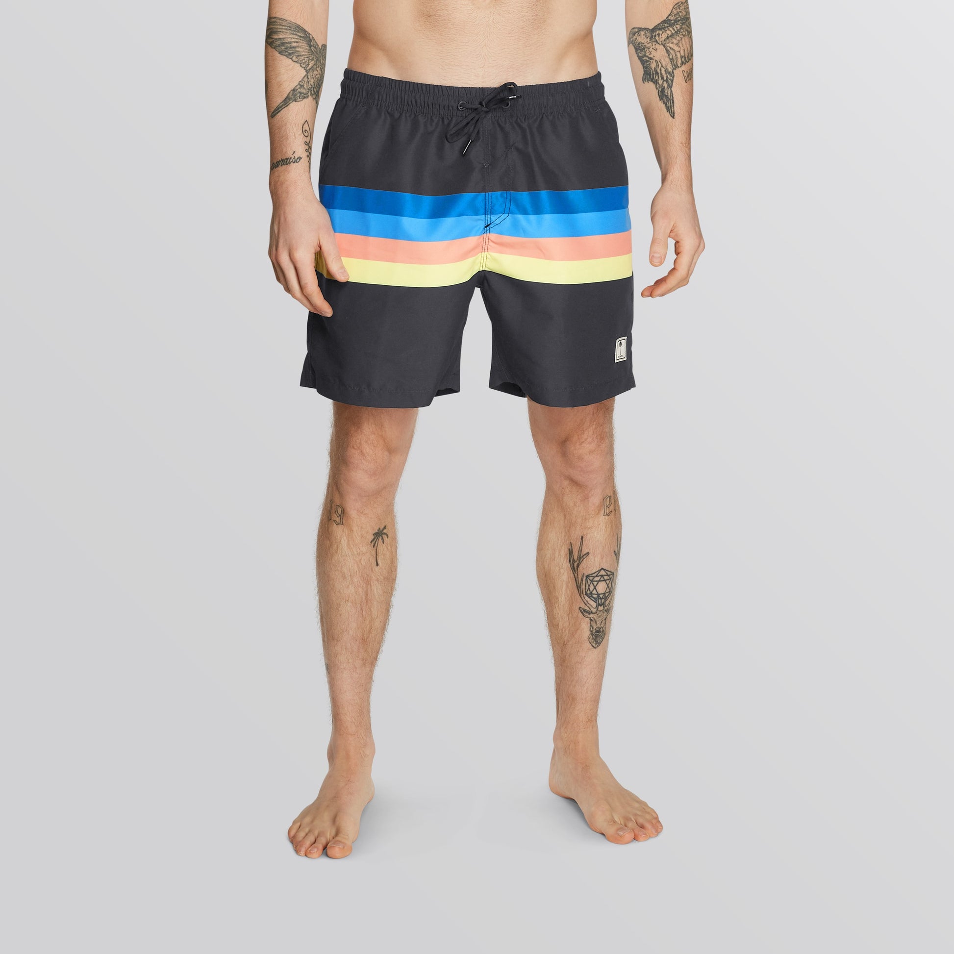 Mystic Stripe Swim Boardshort Rainbow