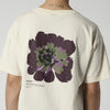 Mystic Heartsease Tee