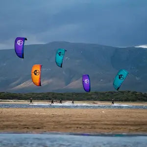 Kites